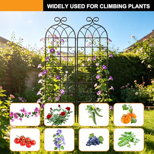 YOBAZAN Metal Garden Trellis 71"x40", Plant Support Trellis - style: 2 Pack
