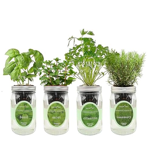 Hydroponic Herb Growing Kit Set, Self-Watering Mason Jar Herb Garden Starter Kit Indoor, Grow 4 Kinds of Herbs from Seeds (Basil, Mint, Cilantro & Rosemary)