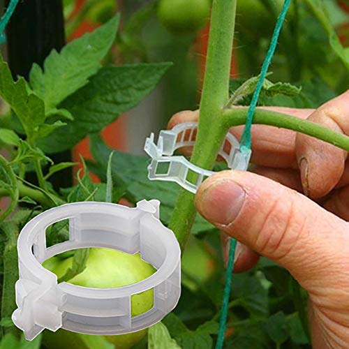 100PCS Plant Support Garden Clips Tomato Clips Supports/Connects Plants/Twine/Vines Trellis/Cages Plant Vine Vegetable Fastening Clip Grafting Tools Make Plant Grow Upright and Healthier (100PCS) - color: 100PCS