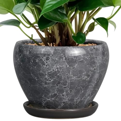 Ceramicfor Ceramic Planter - 6 Inch Plant Pot with Drainage Hole and Saucer, Succulent Pot Glaze Round Flower Pot for Indoor Outdoor Plants, Gray - color: Gemstone Gray, size: 6 Inch