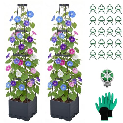 2 Pack Raised Garden Bed, Tomato Cages for Garden, Garden Bed, Tomato Cage, Planter Box with Trellis, 57" Self-Watering Tomato Planter for Climbing Plants Vegetables Flowers Outdoor Indoor - size: 57 inch 2 Pack