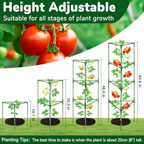ZeeDix 65 Inch Heavy Duty Tall Tomato Cages for Garden 2 Pack - size: 65"-2 Pack
