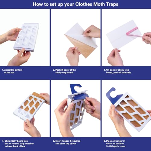 Powerful Moth Traps for Clothes & Closets | Refillable 3-Pack | Odor-Free & Natural | Moth Pheromone Traps for House & Clothing