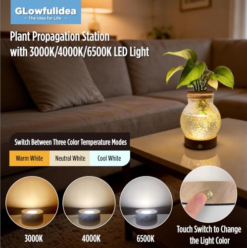 Plant Propagation Station with Three Color & Stepless Dimming LED Light - size: Ice Spherical