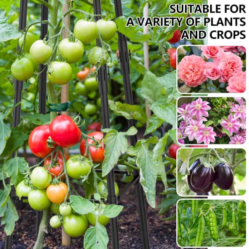 AlisisFores 4 Ft Garden Obelisk Trellis for Potted Climbing Plants