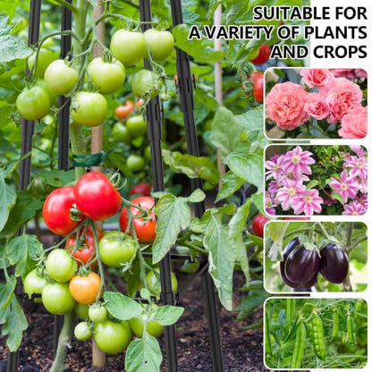 AlisisFores 4 Ft Garden Obelisk Trellis for Potted Climbing Plants