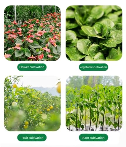 Plant Grow Pot 10 Gallons Fabric Raised Garden Planting Bed Breathable Garden Grow Bags Planting Container Planter Pot for Plants, Herbs, Flowers, Vegetables（4 Black Fertilizer Boxes）
