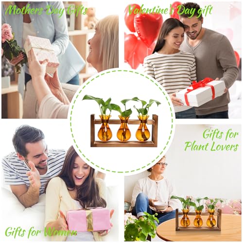 Plant Propagation Station Plant Terrarium Unique Birthday Gifts for Women - color: Amber