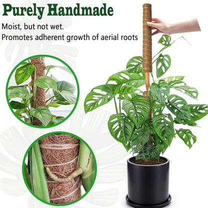 2 Pack 17 Inch Moss Pole, Stackable Moss Poles for Climbing Plants Monstera, Tall Plant Sticks Accessories, Large Coir Plant Support Stakes for Potted Plants Indoor, Pothos, Philodendron - size: 2 pack 17in
