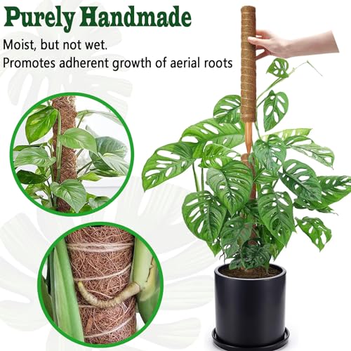 2 Pack 21 Inch Moss Poles, Stackable Moss Pole for Plants Monstera, 37 Inch Tall Moss Poles for Climbing Plants Indoor, Coir Totem Plant Support Stakes Stand for Potted Plants, Pothos - size: 2 pack 21in