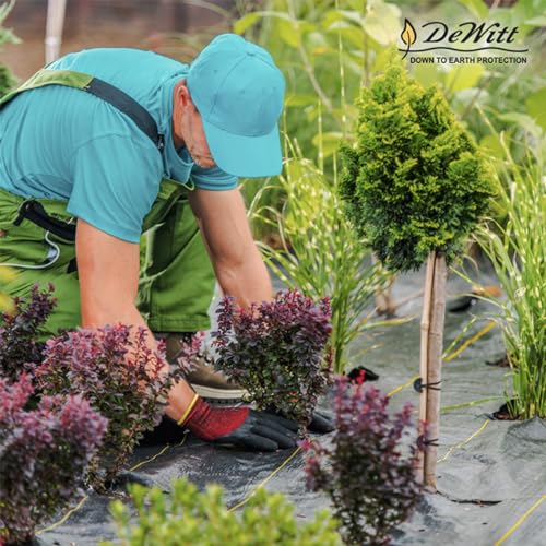 Dewitt 3 x 250 Feet Commercial and Home Garden Landscape Weed Block Barrier, Ideal as Fabric for Yards, Grounding Sheets, Fake Rock, or Floor Mat - size: 2 Pack, style: 3' x 250'