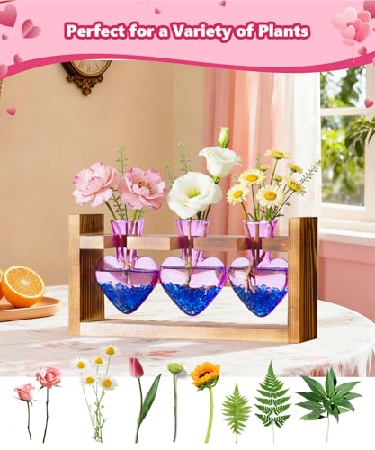 Nacome Plant Terrarium with Wooden Stand, 3 Heart Bulb Glass Vases - color: Purple