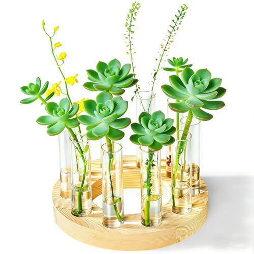 Melphoe Glass Bud Vases Small Flower Vase for Centerpieces Wedding Table Decorations, Home Decor, Propagation Station Plant Terrarium with Wooden Stand, Unique Plant Lover Gifts for Women (Beige) - color: Beige