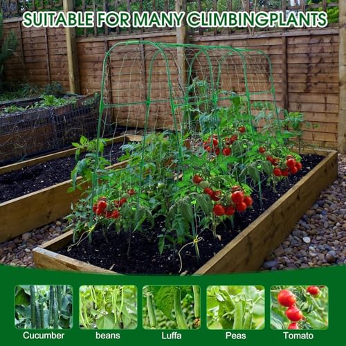 50"x48"Cucumber Trellis, Garden Arch Trellis for Climbing Plants Outdoor - color: Green