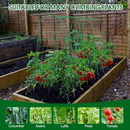 50"x48"Cucumber Trellis, Garden Arch Trellis for Climbing Plants Outdoor - color: Green