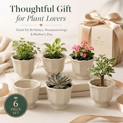 6 Pcs Mini Scalloped Succulent Pots 3.4 Inch Small Planters - style: Lotus Edge Style
