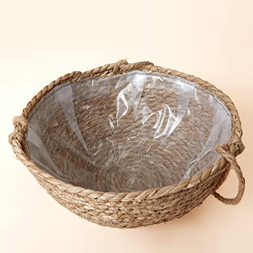 LA Jolie Muse Seagrass Hanging Planters, Set of 2, 12.4" D x 6.3" H, Brown - size: Large