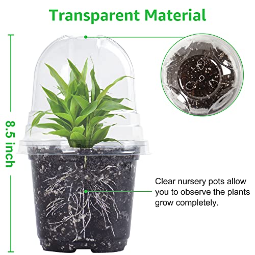 Bonviee Clear Nursery Pots with Humidity Domes, 3.5/4/5 Inch, 36-Pack - size: 3.5/4/5 Inch-36 Packs