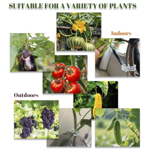 Plant Fixing Clips — Gardening Vine Support Buckles — Suitable for Tying the Stems of Climbing Plants (e.g., Tomatoes, Cucumbers)