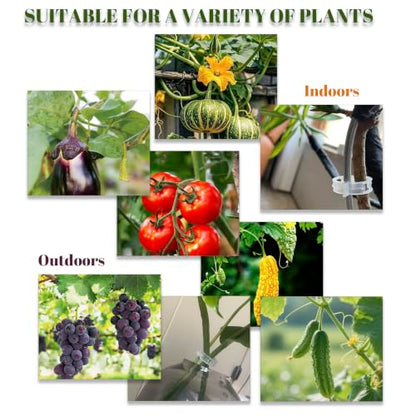 Plant Fixing Clips — Gardening Vine Support Buckles — Suitable for Tying the Stems of Climbing Plants (e.g., Tomatoes, Cucumbers)