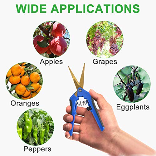 GROWNEER 3 Packs Pruning Shears with Straight Precision Blades, 6 Packs Shears with Curved Blades Gardening Hand Pruning Snips