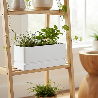 D'vine Dev Rectangular Planter, 12 x 6.5 in, White, 76-P-A-1 - color: White