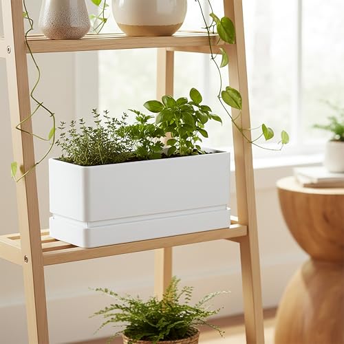 D'vine Dev Rectangular Planter, 12 x 6.5 in, White, 76-P-A-1 - color: White