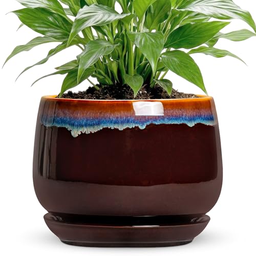 Ceramic Planter, 7 Inch Plant Pots with Drainage, Brown-Blue - size: 7 Inch, style: Brown-blue