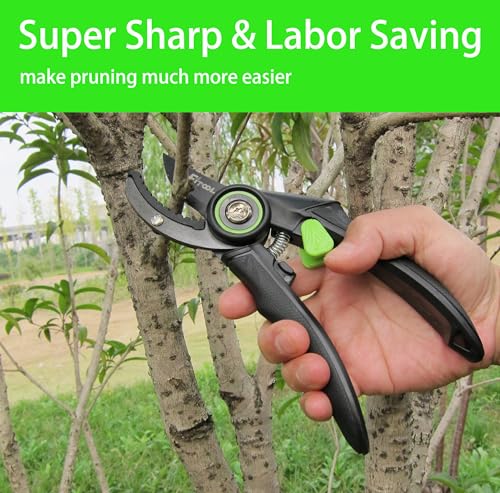 Professional Secateurs, with Super Sharp SK5 Steel Blades, Gardening Hand Clippers Pruners, Garden Trimming Scissors, Pruning Shears 8-Inch (Anvil) - style: Anvil