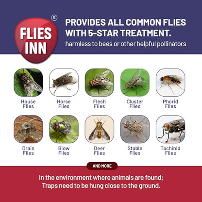 EZ Fly Cage Ranch Fly Trap with 2 Flies Inn Fly Attractant Bait Refill, Low Odor, Reusable, Built to Last for Years - style: 1 Trap+2 Bait