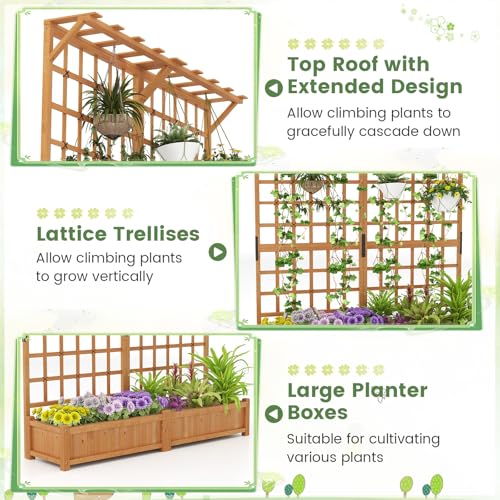 72" Raised Garden Bed with Lattice Trellis, Hanging Roof & Drainage Holes, Elevated Wooden Planter Box for Vine Climbing Plant, Flower, Herb & Vegetable