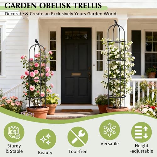Garden Obelisk Trellis for Climbing Plants Outdoor, 6.2 FT Tomato Cage, Rose, Flowers, Grape, Pea, Cucumber Trellis, Rustproof Plastic Coated Metal Plant Support Trellis for Potted Plants (2 Pack) - color: Black (Round)
