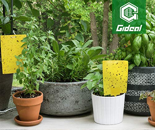 Gideal 12-Pack Yellow Sticks for Sticky Traps for Flying Plant Insect Fungus Gnats Whiteflies Aphids Leafminers Thrips - size: 12 Pack