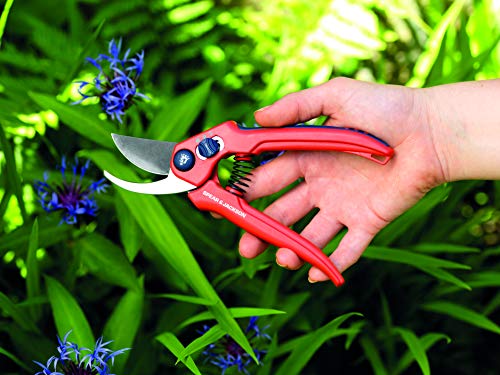 Spear & Jackson 6559BS Razorsharp Secateurs Adjustable Width Bypass Pruners - style: Adjustable Bypass