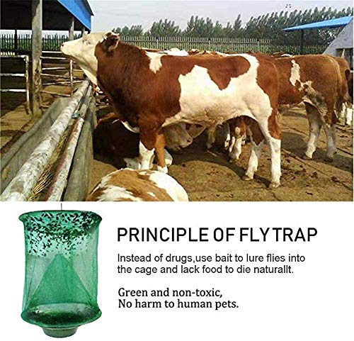 Ranch Fly Trap Outdoor Hanging Reusable with Fishing Apparatus | Food Bait Tray Catcher Cage for Indoor or Outdoor Family Farms, Park (4 Pack) - style: 4 pack
