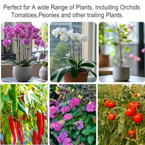 Plant Clips, Orchid Clips Plant Orchid Support Clips Flower and Vine Clips for Supporting Stems Vines Grow Upright Green 50PCS