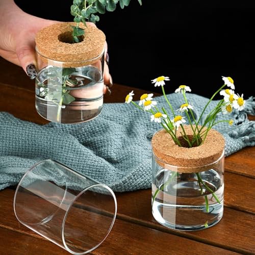 Glass Plant Propagation Station with Cork Lid, Clear Borosilicate Hydroponic Vase for Rooting Cuttings, Minimalist Desktop Terrarium Planter for Home Office Decor(1 Pack)