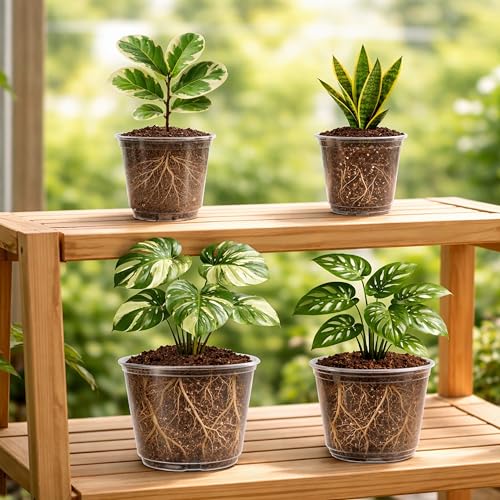 Bluepro Clear Nursery Pots with Drainage Holes, 5/6/8/10 Inch, 16-Pack - size: 5/6/8/10 Inch-16Pcs