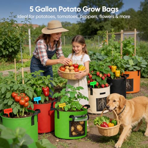5 Gallon Potato Grow Bags: Set of 5 Colorful Gardening Supplies Fabric Pots with Harvest Window Reinforced Handles - Planting Container for Vegetable Tomatoes Carrot Flowers Balcony Patio Use - size: 5 Pack-5 Gallon