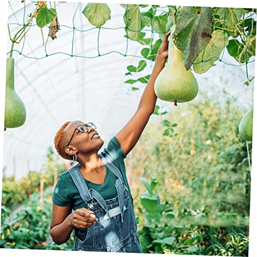 YARNOW Plant Climbing Net Green, Trellis Netting for Climbing Plants Vegetables Fruits, Ideal for Outdoor Vertical Horizontal Use