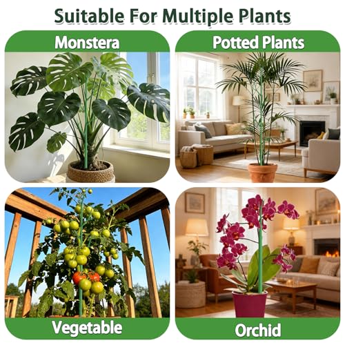 Telescoping Monstera Support Stakes, Detachable Plant Sticks 4 Pack - size: 4PACK-43.3in