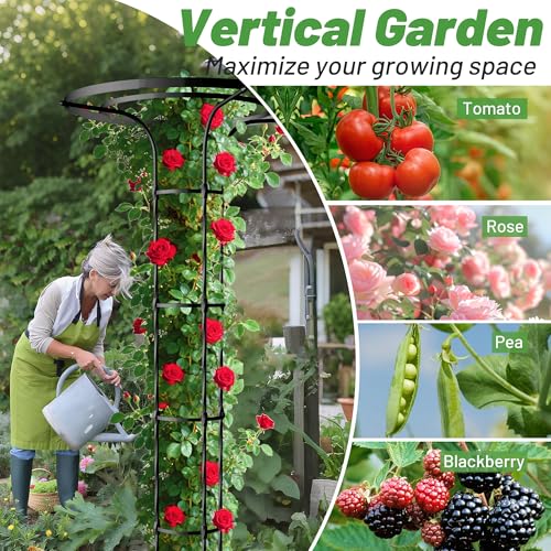 Umbrella Top Garden Trellis for Climbing Plants Outdoor, 6.9FT Tall Obelisk - color: Extra Tall - 82.7" Height