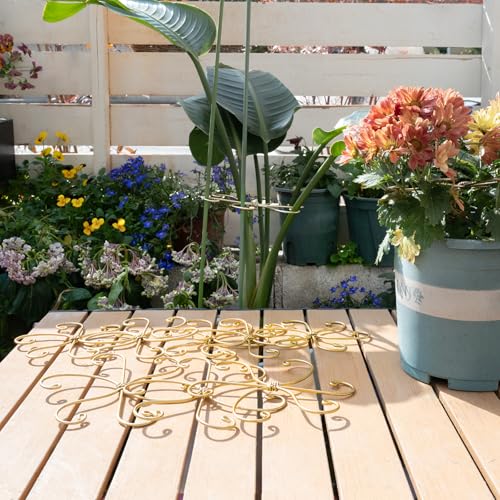 5PCS Monstera Plant Support Hooks - 6.5" Durable Metal Stabilizers - size: 6.5 x 6.5 inches
