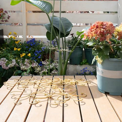 5PCS Monstera Plant Support Hooks - 6.5" Durable Metal Stabilizers - size: 6.5 x 6.5 inches