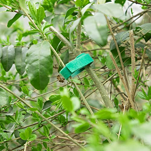 Plant Tape, 6 Roll 196 Ft Green Garden Tape, Adjustable Twist Ties for Plants Support 1/2", Reusable Garden Ties for Climbing Plants, Gardening Tape for Outdoor Indoor Plants - size: 6 Roll,196Ft