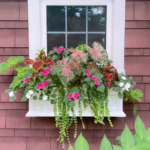 Mayne Fairfield 36in Self-Watering Rectangular Window Box Planter, White - color: White, size: 36in
