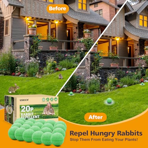 Rabbit Repellent Outdoor,20 Pack Natural Peppermint Oil Rabbit Repellent - color: Green-rabbit