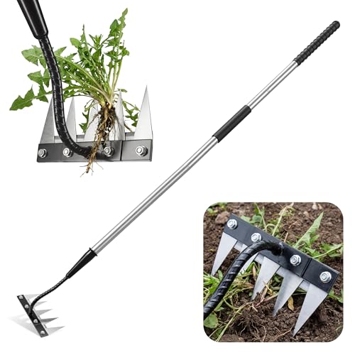 Iron Weeding Rake with Long Handle, Manual Weeder Tool for Garden