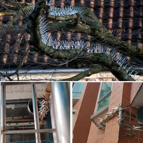 Anti-Climb Spikes for Raccoon & Bird Protection - Heavy-Duty Stainless Steel Barrier Nails for Fence, Roof, Trees | Outdoor Animal Climb Prevention (1PCS) - color: 1PCS