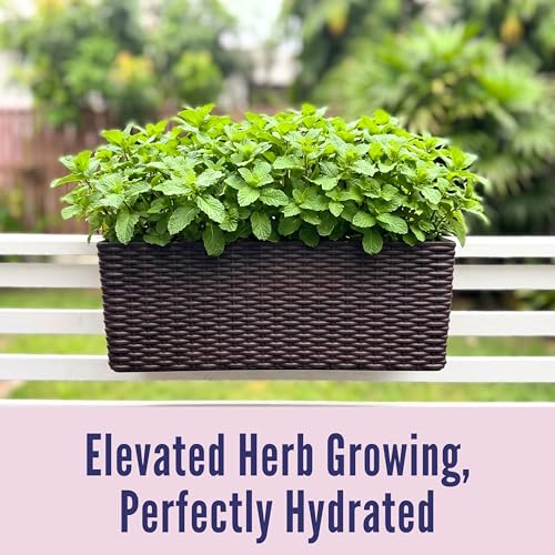 LaLaGreen Outdoor Rail Planter for Balcony (20 Inch, 2 Pack) Large Black Self Watering Railing Planters with Brackets, Rectangular Plastic Window Flower Box Fence Designer Choice with Rattan Pattern - color: Brown X 2